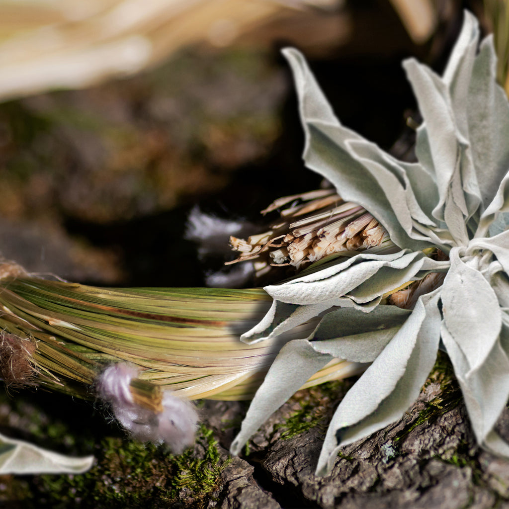 Organic White Sage and Sweet Grass Hydrosol – Lunaroma Aromatic